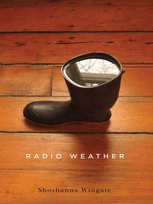 cover image of Radio Weather